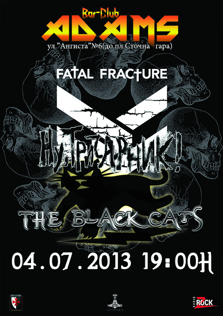 news_adams_2013_07_04_fatal_fracture