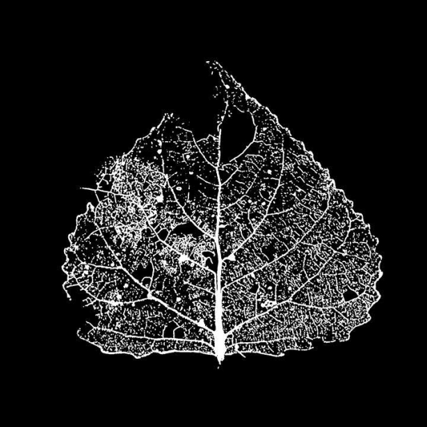 Escape From Inferno - Fragments Of A Fragile Eternity