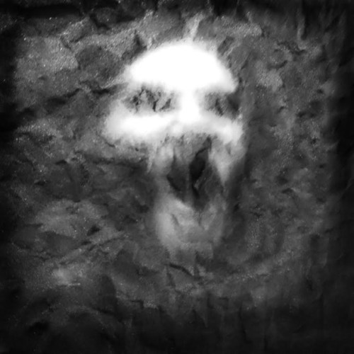 PhyX - Higher Bodies