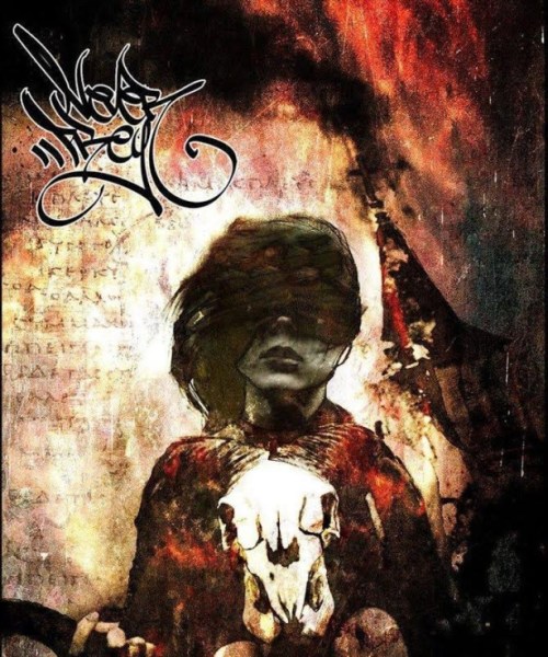 Never Prey - Veils Afire