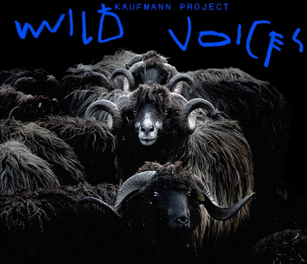 Kaufmann Project - Диви гласове. Елена