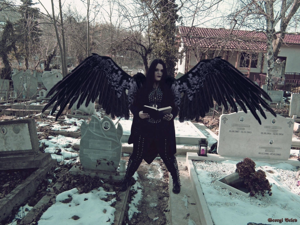 Даниела A. Висоцкая