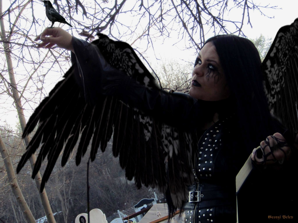 Даниела A. Висоцкая