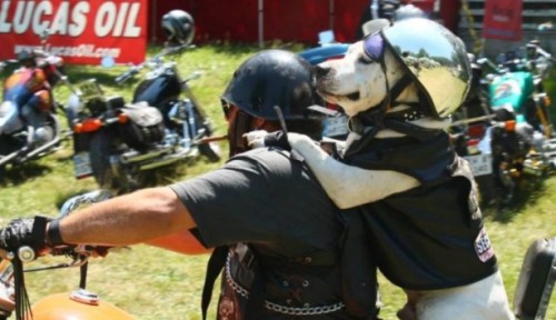 Мото рок събор Предел