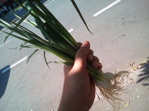 Нямаше праз на Sea Of Black?