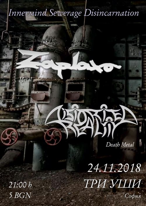 Концерт на Distorted Reality и Zaplaxa