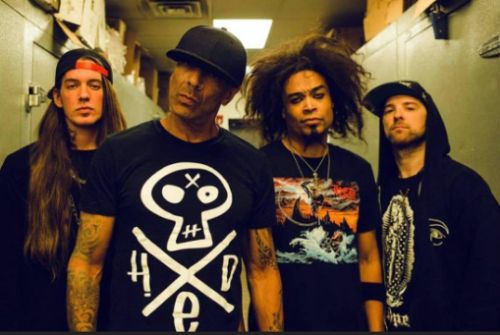 HED PE