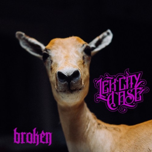 Lek City Case - Broken