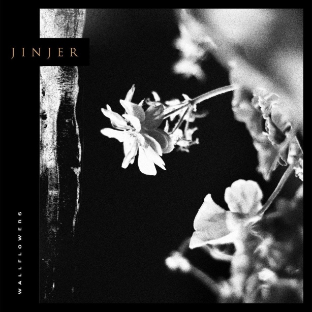 news_Jinjer - Wallflowers
