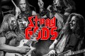 Stray Gods