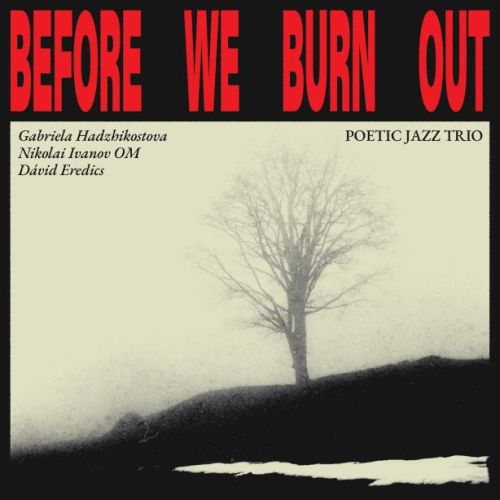 Poetic Jazz Trio - Before We Burn Out