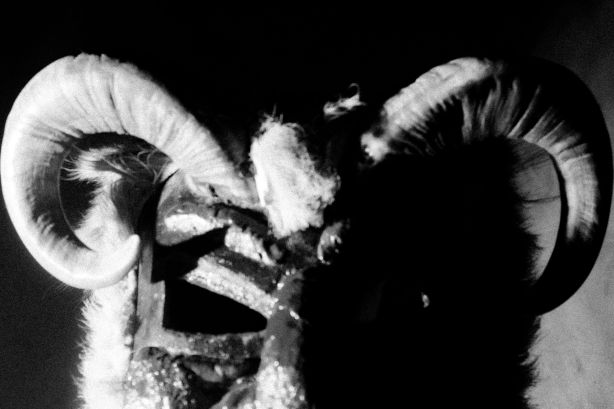 Концерт на Khanъ и Verya в София