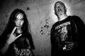 Narcotic Wasteland