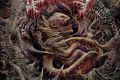 Avulsed - Nordic Embryogenesis