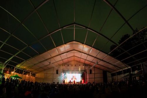 Vidas Art Arena