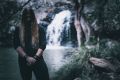 Deciduous Forest - Snjór