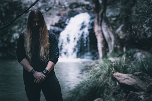 Deciduous Forest - Snjór