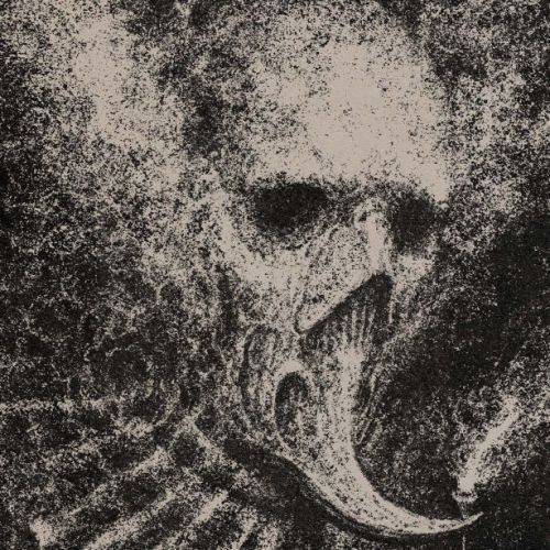 Umus - Voidlit